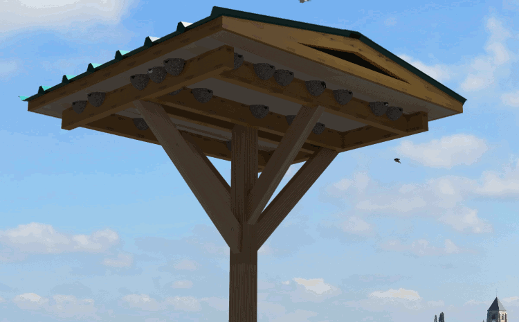 tour à hirondelles de fenêtre